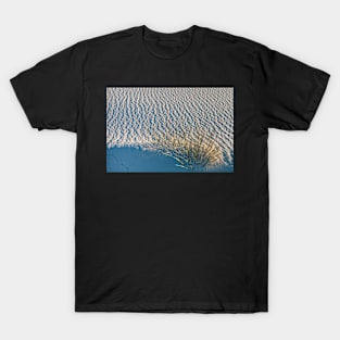 Yucca in White Sand T-Shirt